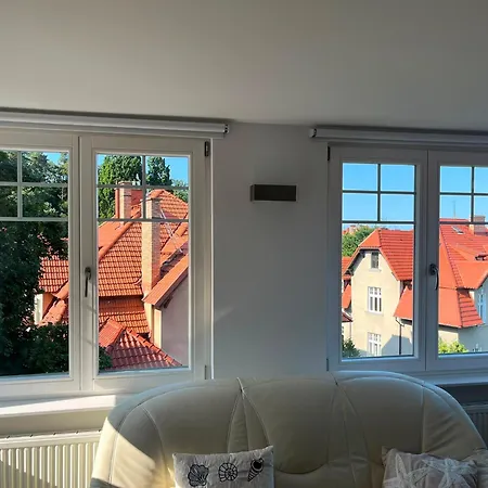 Roof Of The